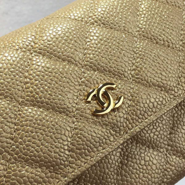 2015春夏新作 シャネルスーパーコピー《少数入荷 美グラデ 》 Zip Wallet